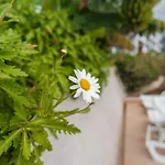 Guestready - The Place To Be Happy In Madeira