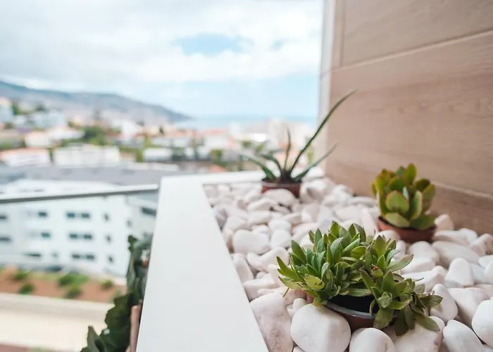 Guestready - The Place To Be Happy In Madeira * Funchal (Madeira)