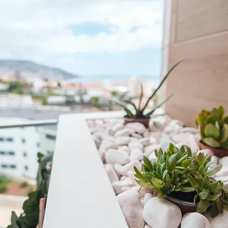 Guestready - The Place To Be Happy In Madeira * Funchal (Madeira)